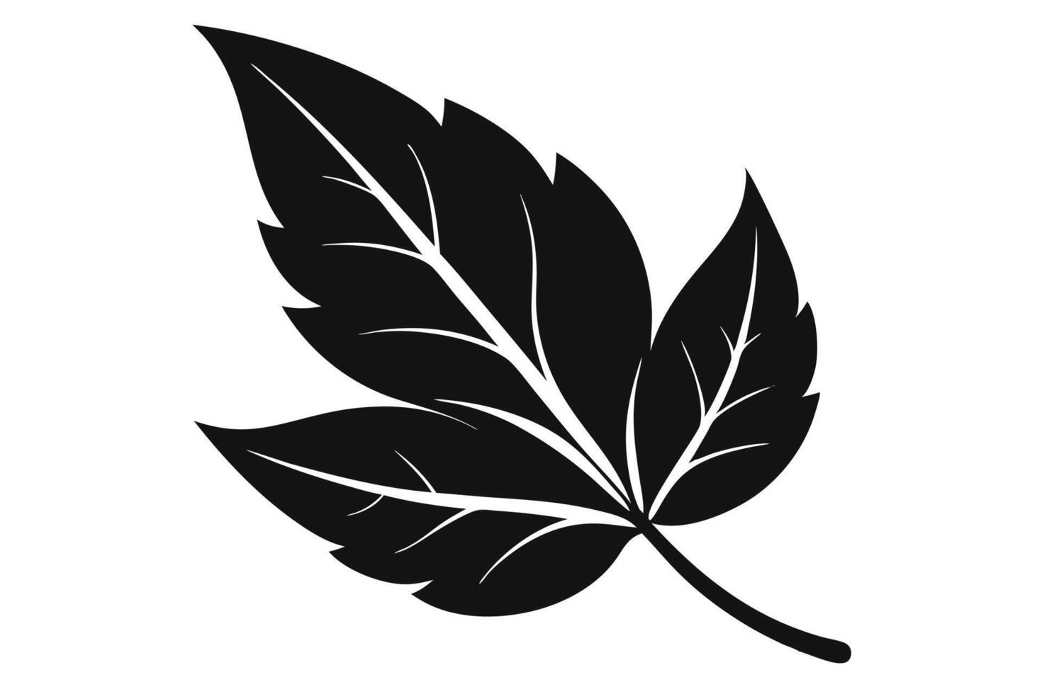 A illustration of a detailed dark green leaf. vector