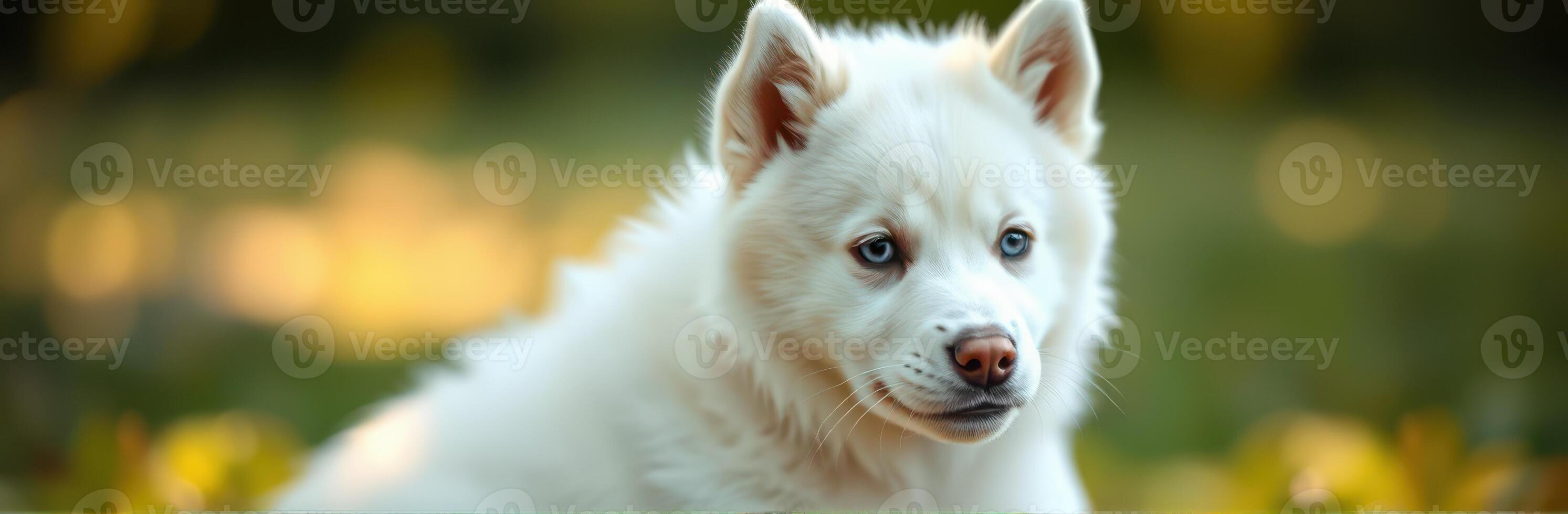 White fluffy dog enjoying a sunny day in a vibrant green park surrounded by colorful flowers photo