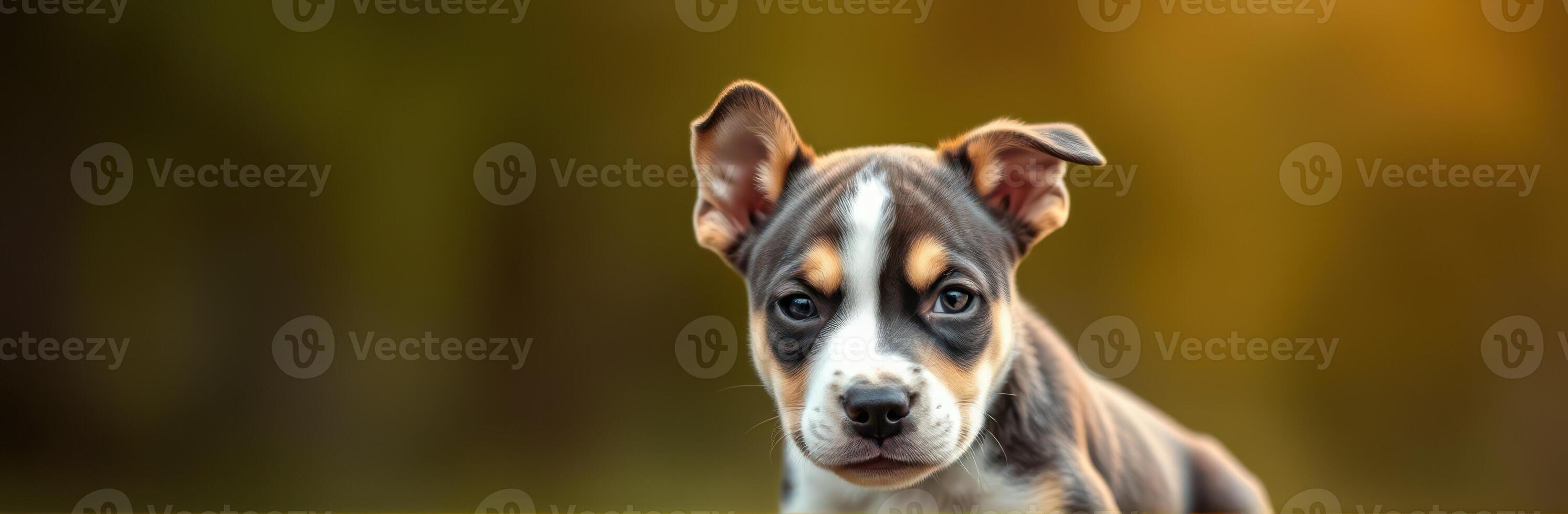 Cute Puppy Portrait with Alert Eyes and Adorable Ears in a Natural Background - Pet Photography of a Happy Furry Friend photo