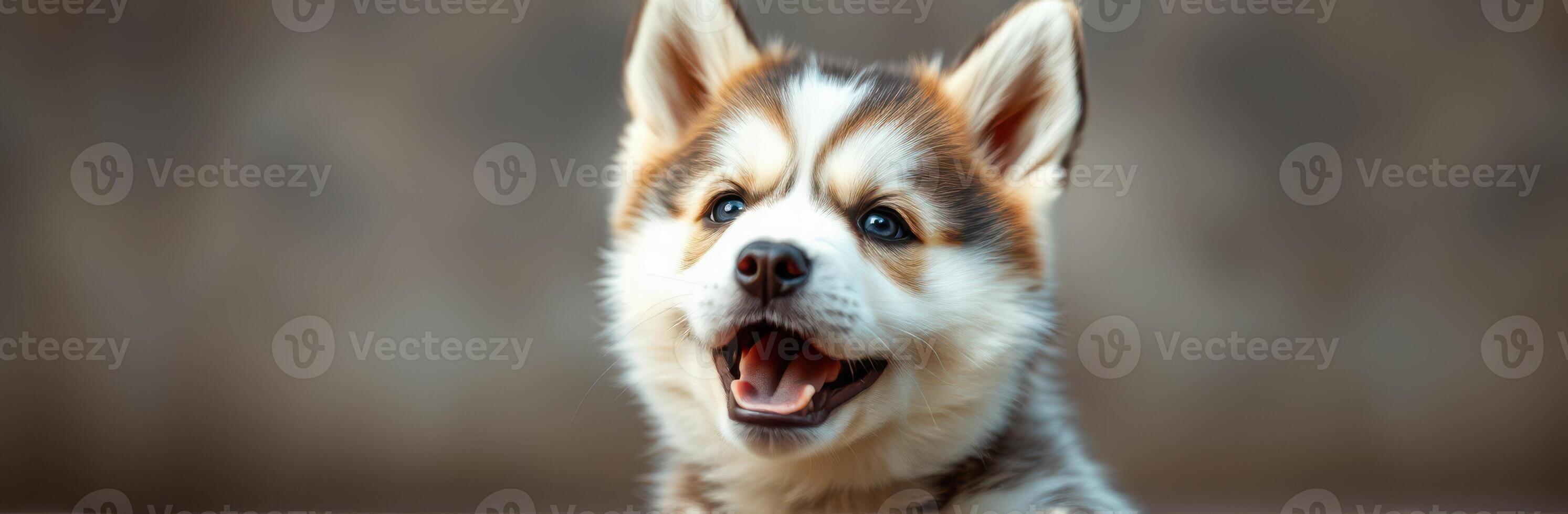 Cute and Playful Puppy Dog Portrait with Blue Eyes and Adorable Expression in Warm Lighting photo