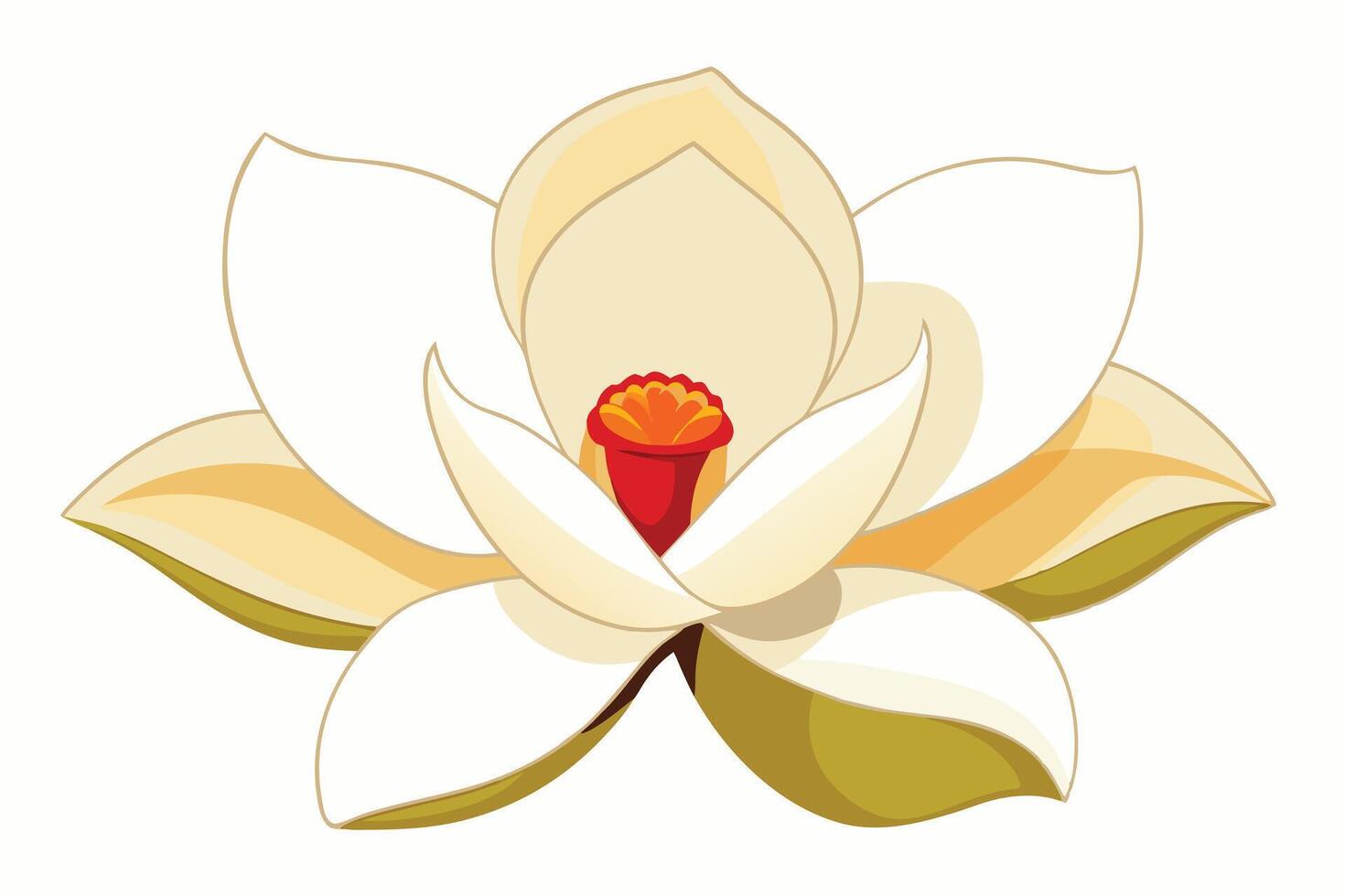 A white magnolia flower illustration, perfect for spring design. vector