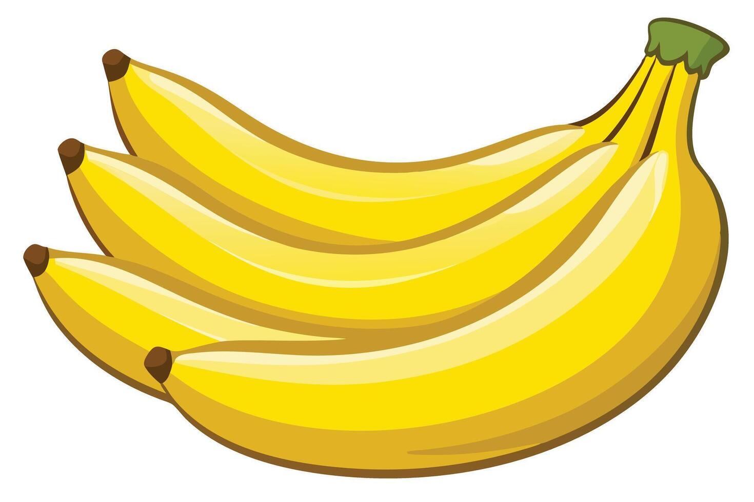 illustration of a bunch of ripe bananas. vector