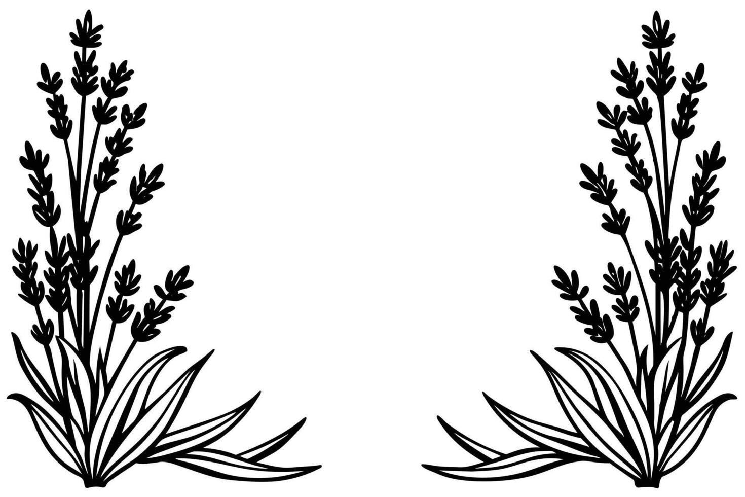 Lavender Floral Design, perfect for various graphic projects. vector