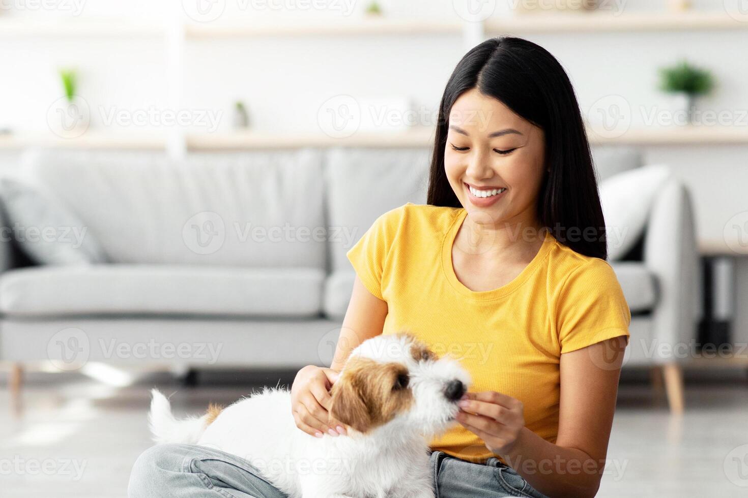 Joyful young beautiful japanese lady giving her doggy treats while playing together at home, happy woman in casual enjoying time with cute fluffy jack russel terrier puppy, copy space photo