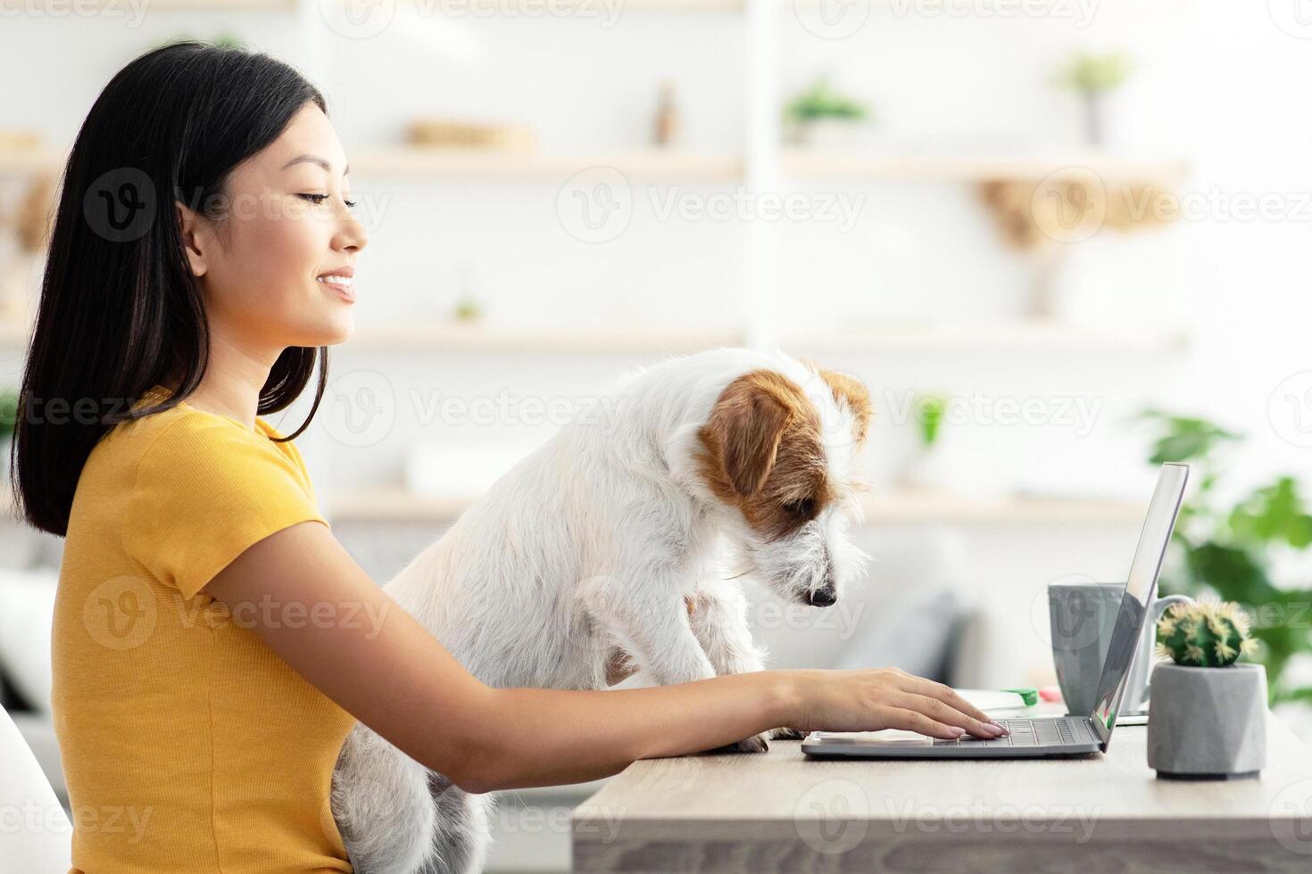 Funny puppy helping its mother to work from home, side view, copy space. Fluffy jack russel terrier dog looking at millennial asian woman freelancer hands typing on laptop keyboard photo