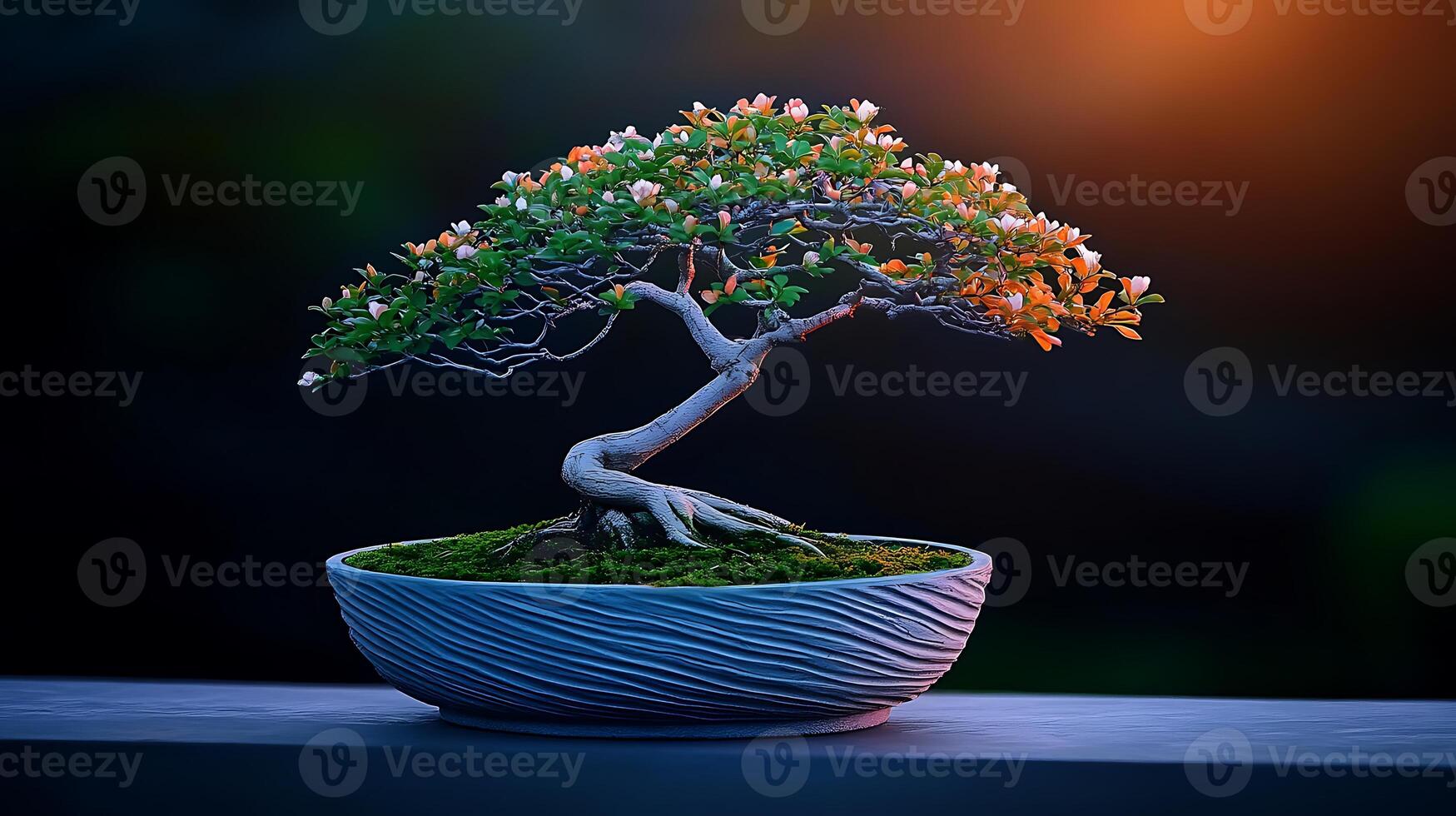 A beautifully arranged bonsai tree with blooming flowers in a serene setting at sunset photo