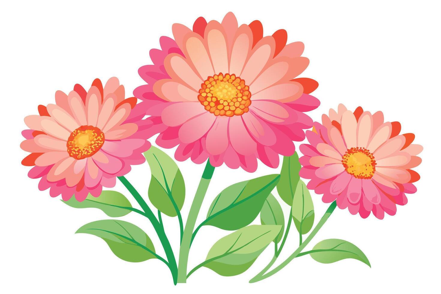 A bouquet of pink and orange gerbera daisies. vector