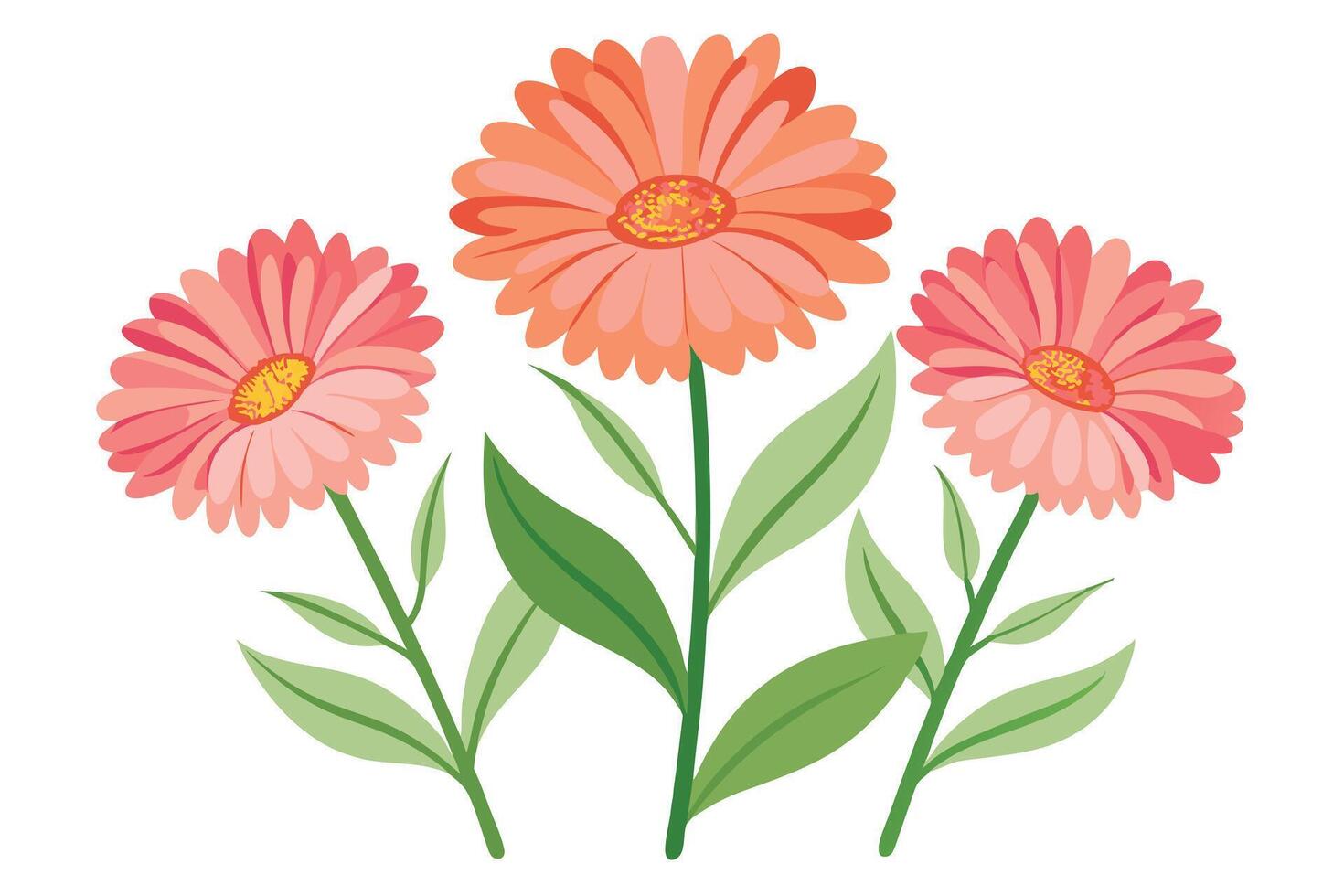 Vibrant bouquet of pink and orange gerbera daisies. vector