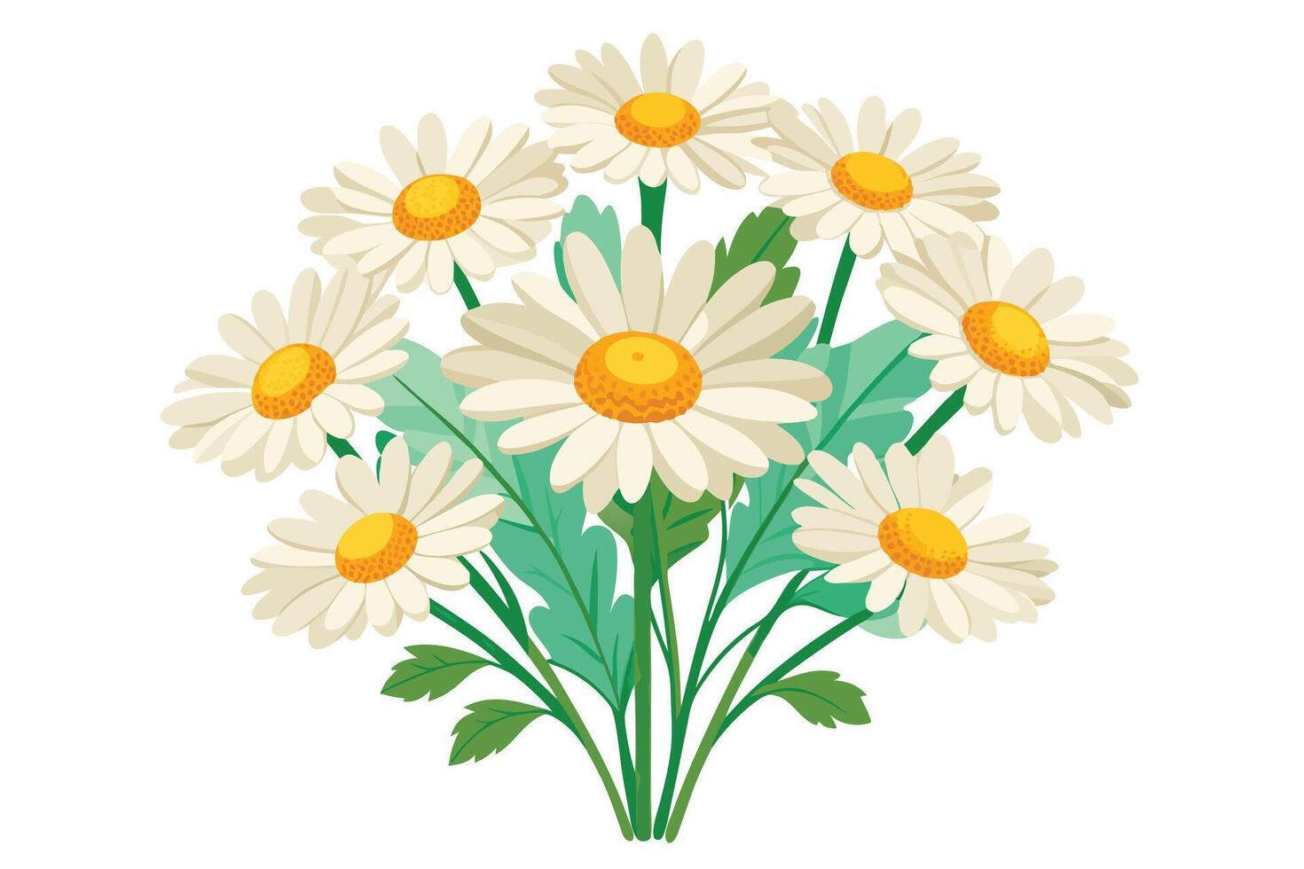 A Bouquet of daisies, perfect for spring. vector