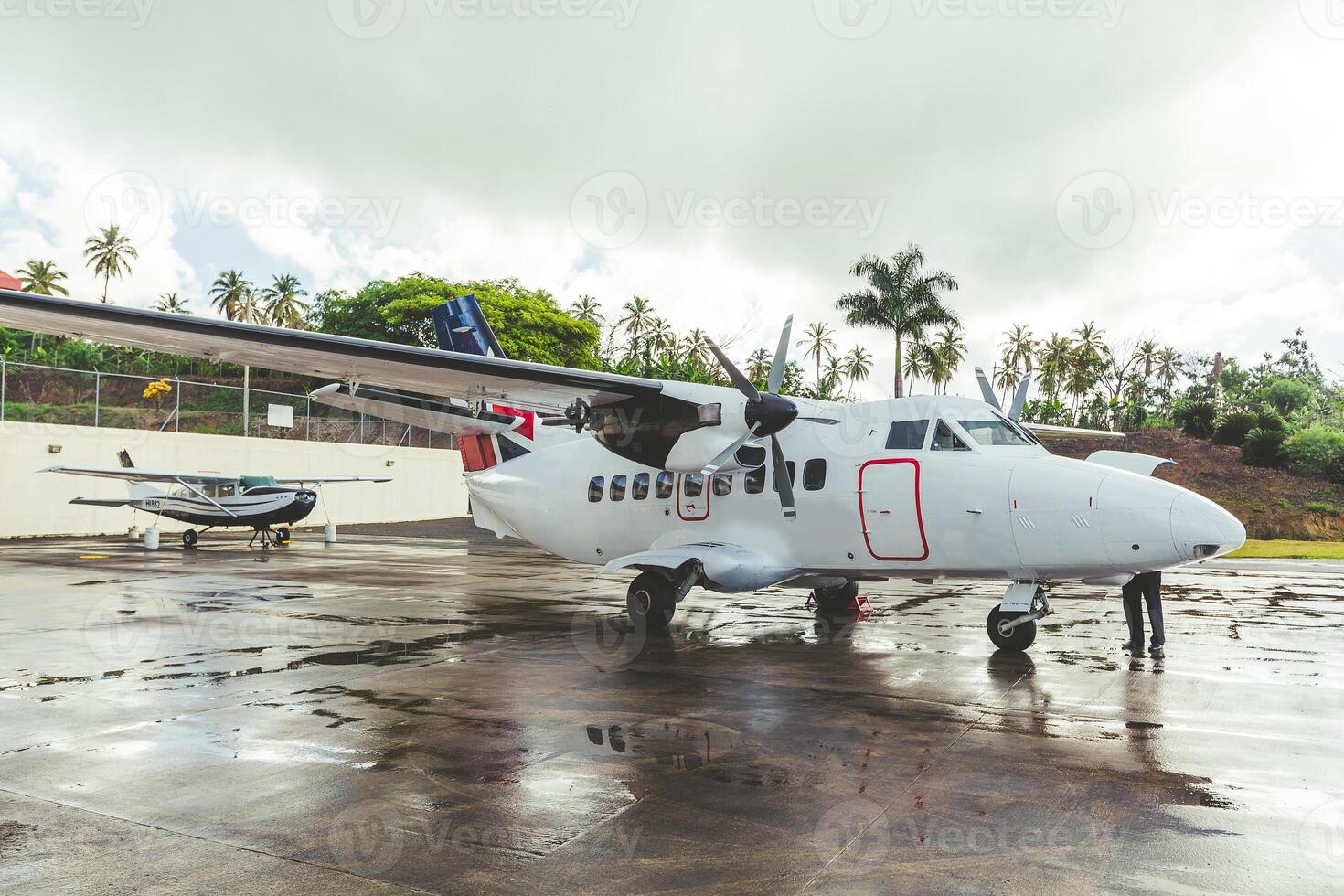 Aircraft parked on a tropical runway with palm trees in the background during an overcast day photo