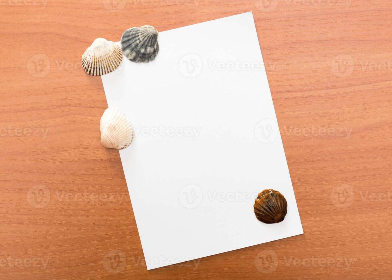 Seashells arranged on a blank piece of paper on a wooden surface evoke a serene beach atmosphere photo