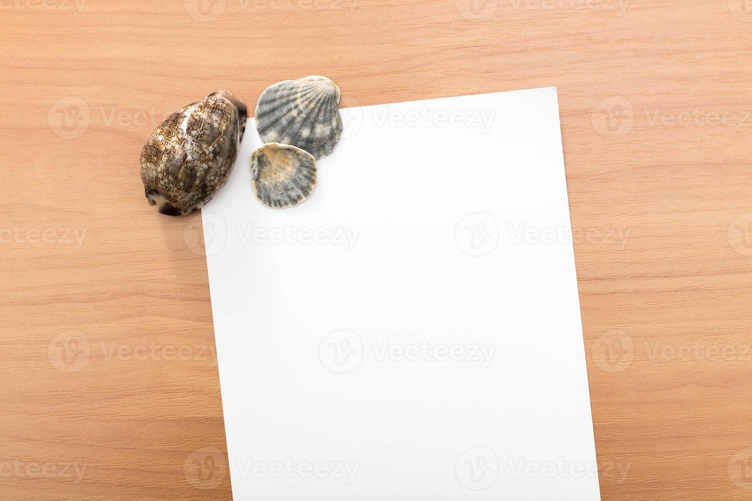 Shells arranged on a wooden surface next to blank paper for creative writing or marine-themed projects photo
