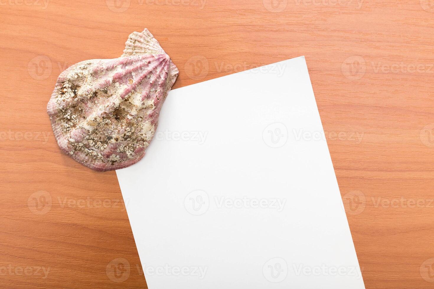Shell resting next to blank paper on a wooden surface inviting creativity during a quiet afternoon photo
