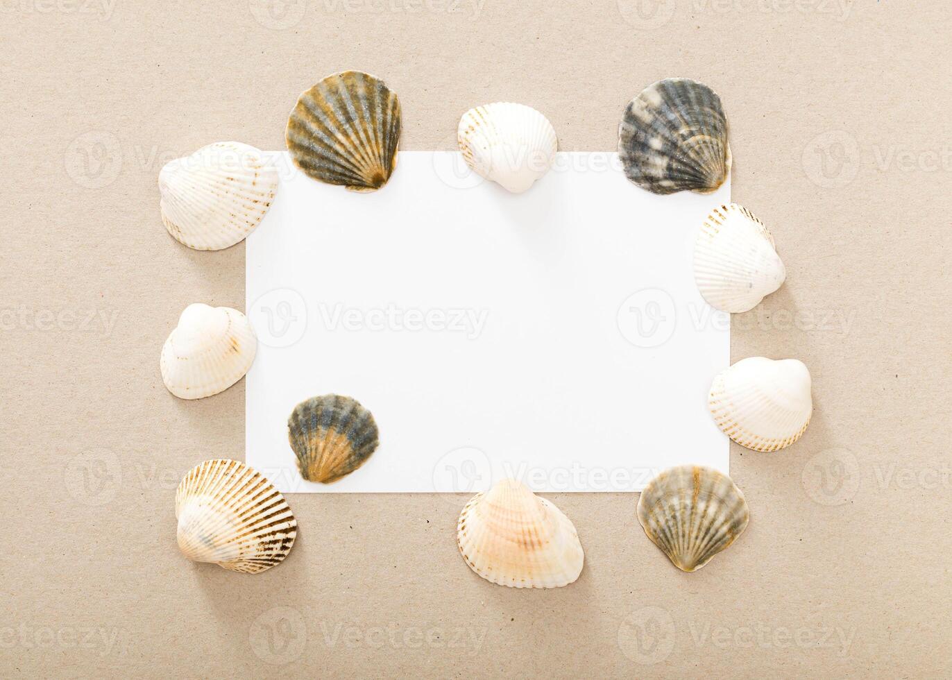 Unique arrangement of seashells framing a blank card on a neutral background for creative projects photo