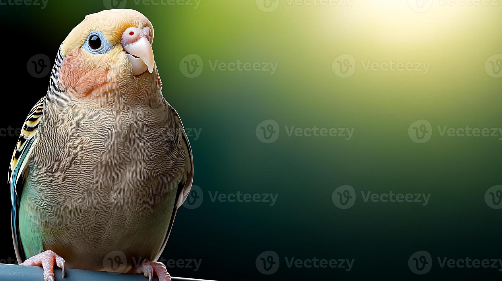 A close-up of a colorful parakeet perched on a branch, with a blurred green background suggesting a serene outdoor environment photo