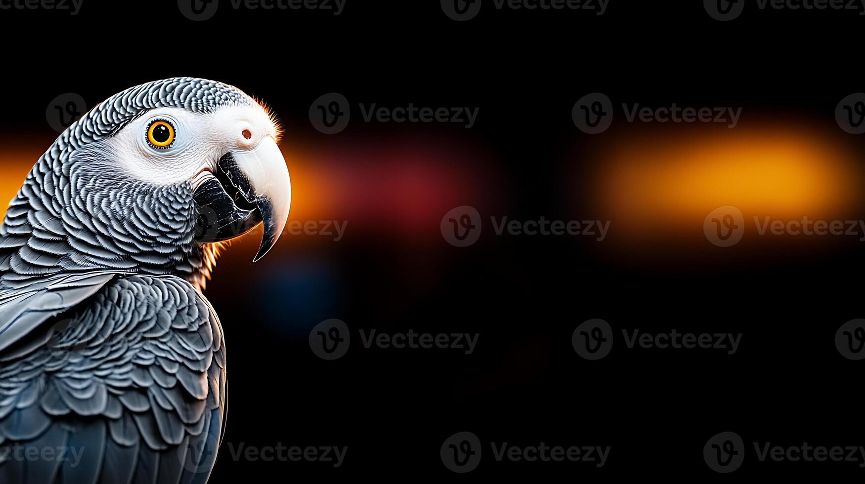 A close-up of a parrot with vibrant plumage against a blurred, colorful background at dusk photo