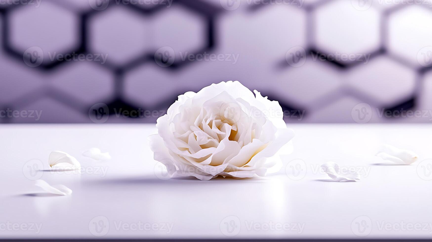 A close-up of a white rose on a table with scattered petals, set against a softly blurred geometric background photo