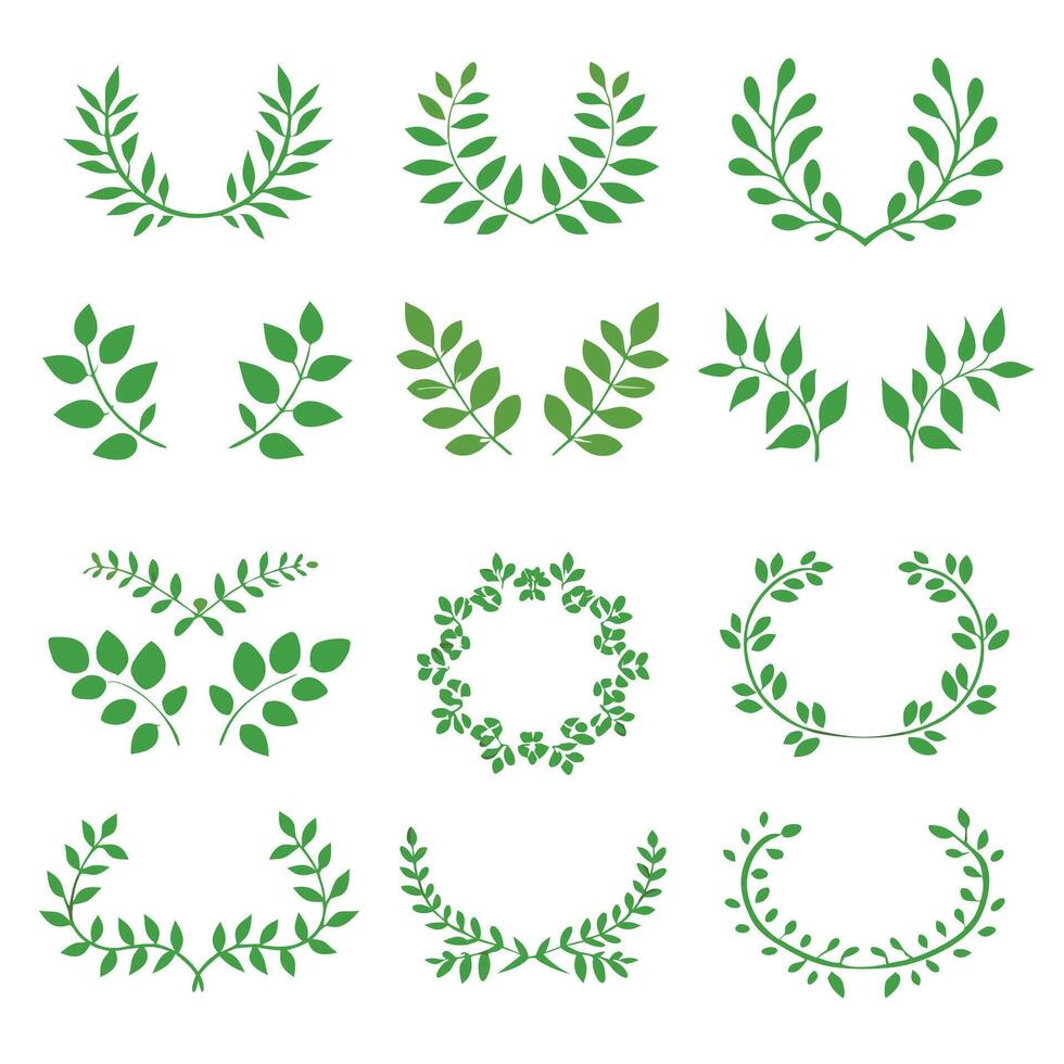 Color floral silhouette elegant flower icon set illustration vector
