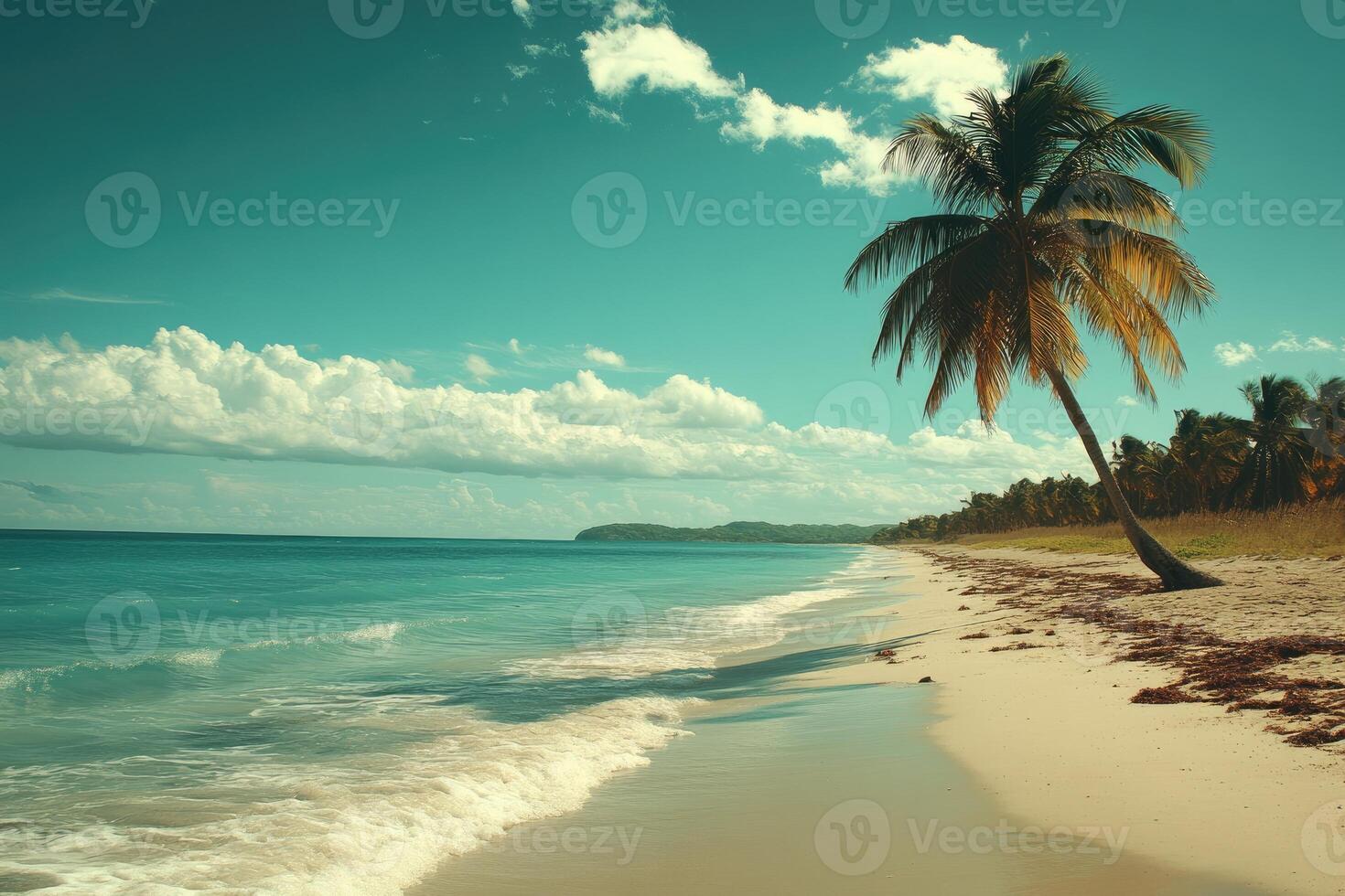 Tropical beach with leaning palm tree, turquoise water and white sand meeting a beautiful teal sky with clouds photo