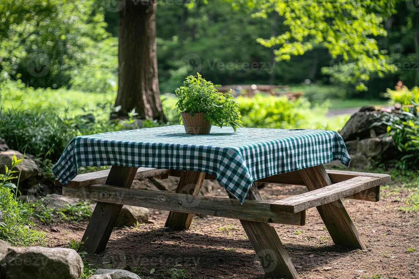 Peaceful picnic table with checkered tablecloth in forest photo