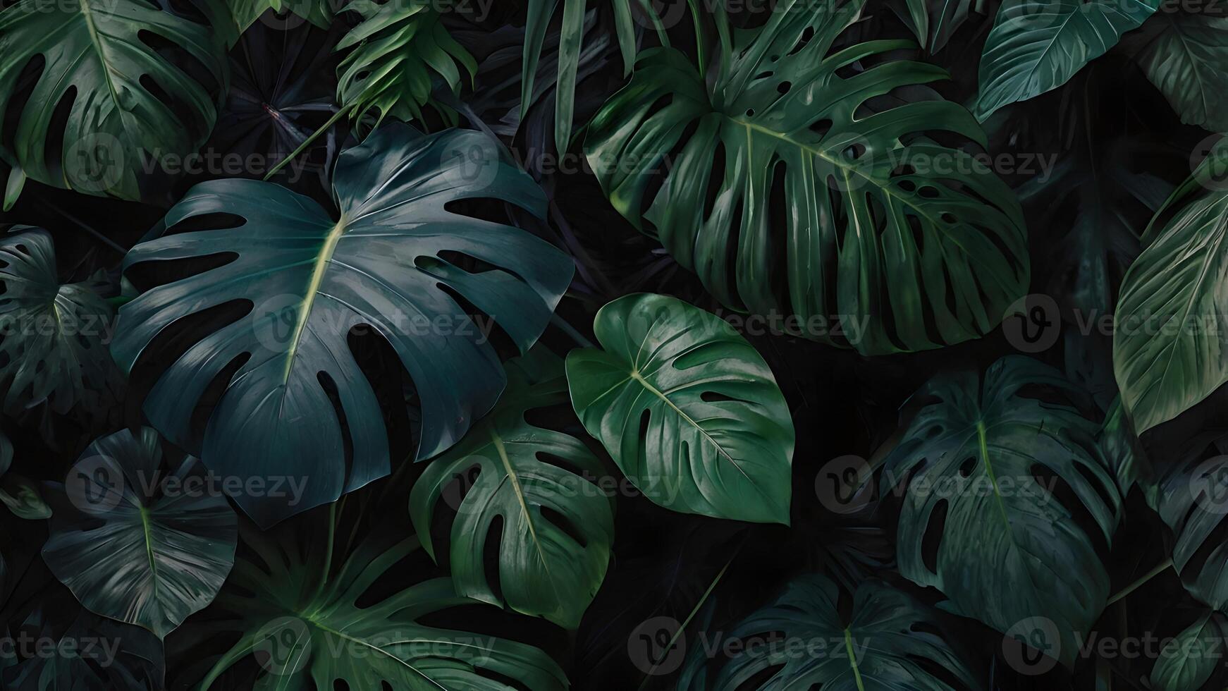 Lush Dark Green Tropical Leaves Background photo