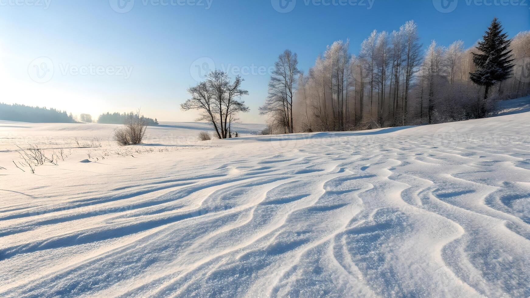 Winter Wonderland Panoramic Snowscape with Windswept Patterns with sun rising photo