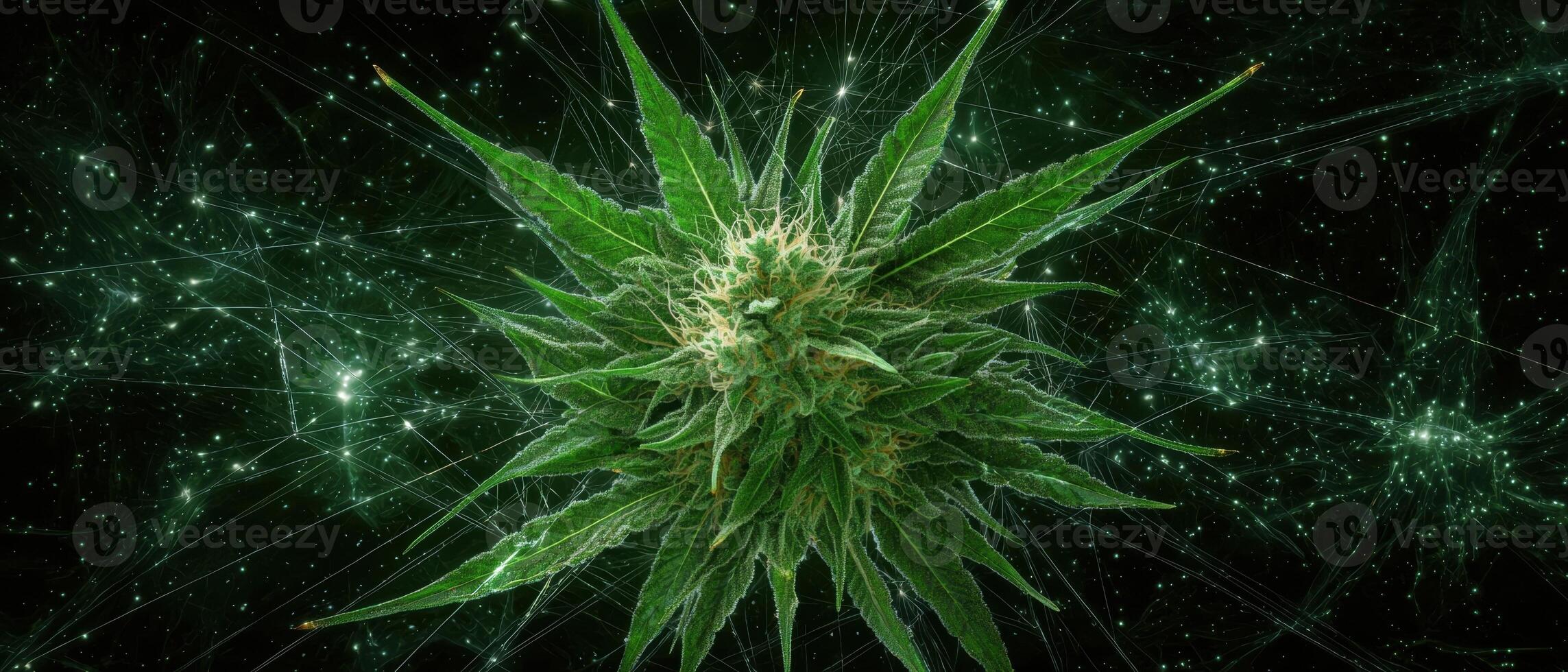 Close up of a cannabis bud with a digital network background photo