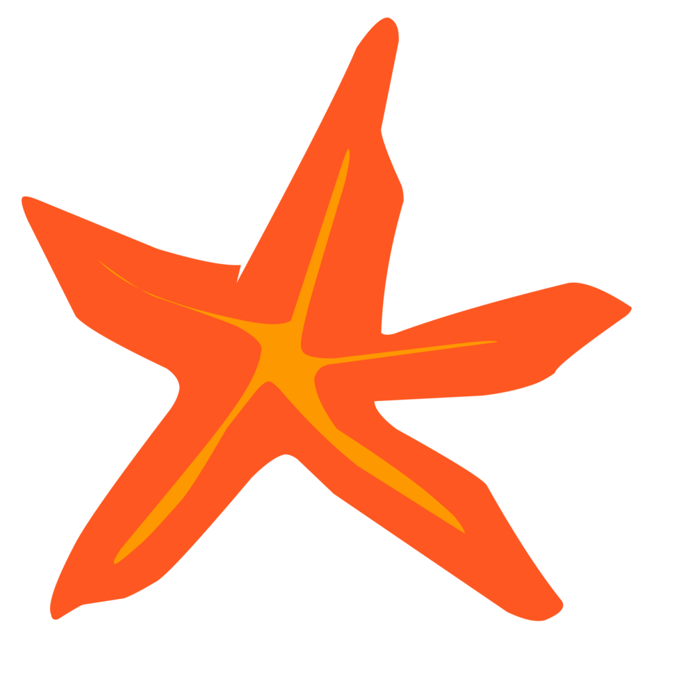 start sea illustration png