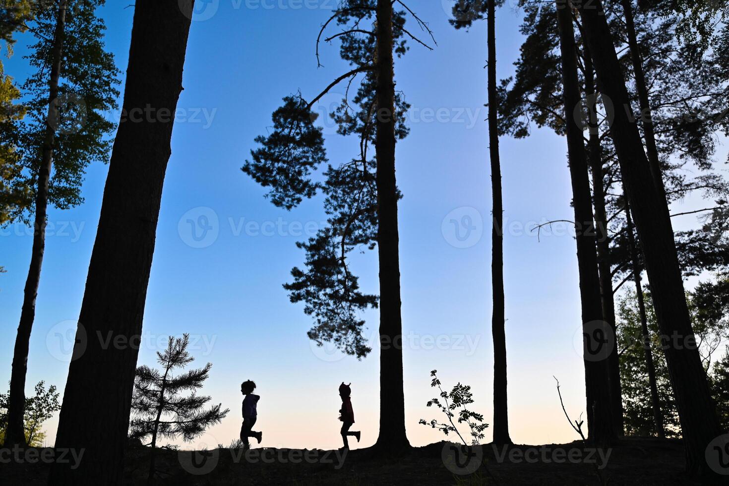 Silhouettes of two children running in the forest at sunset photo