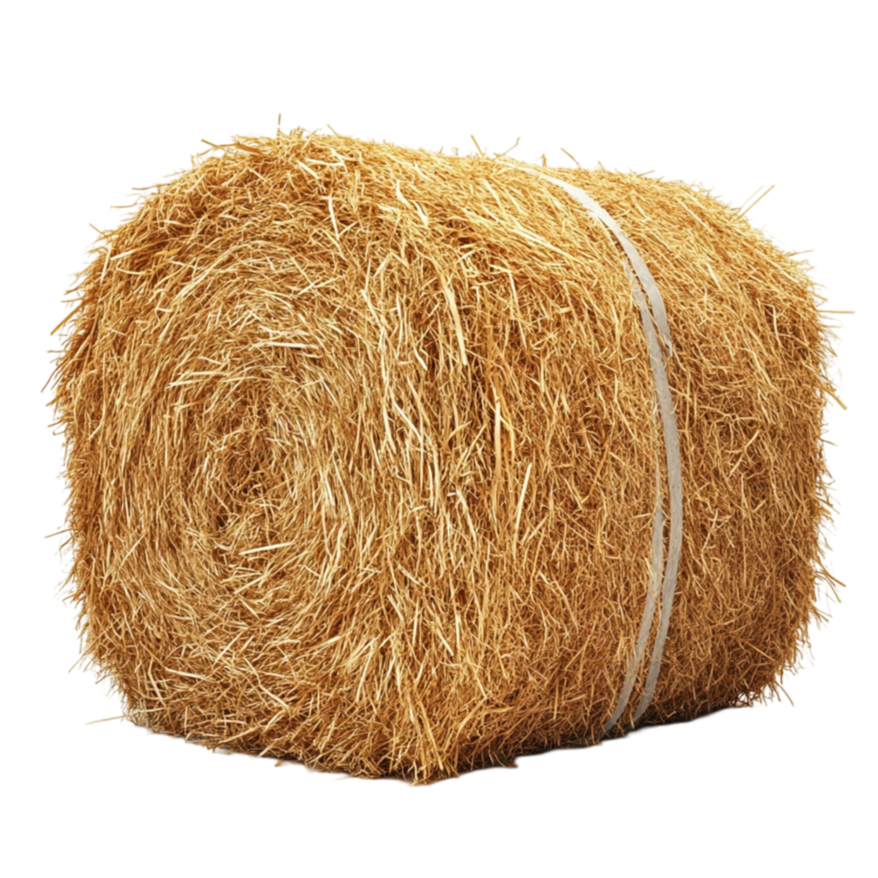 A large round bale of hay on a Transparent background png