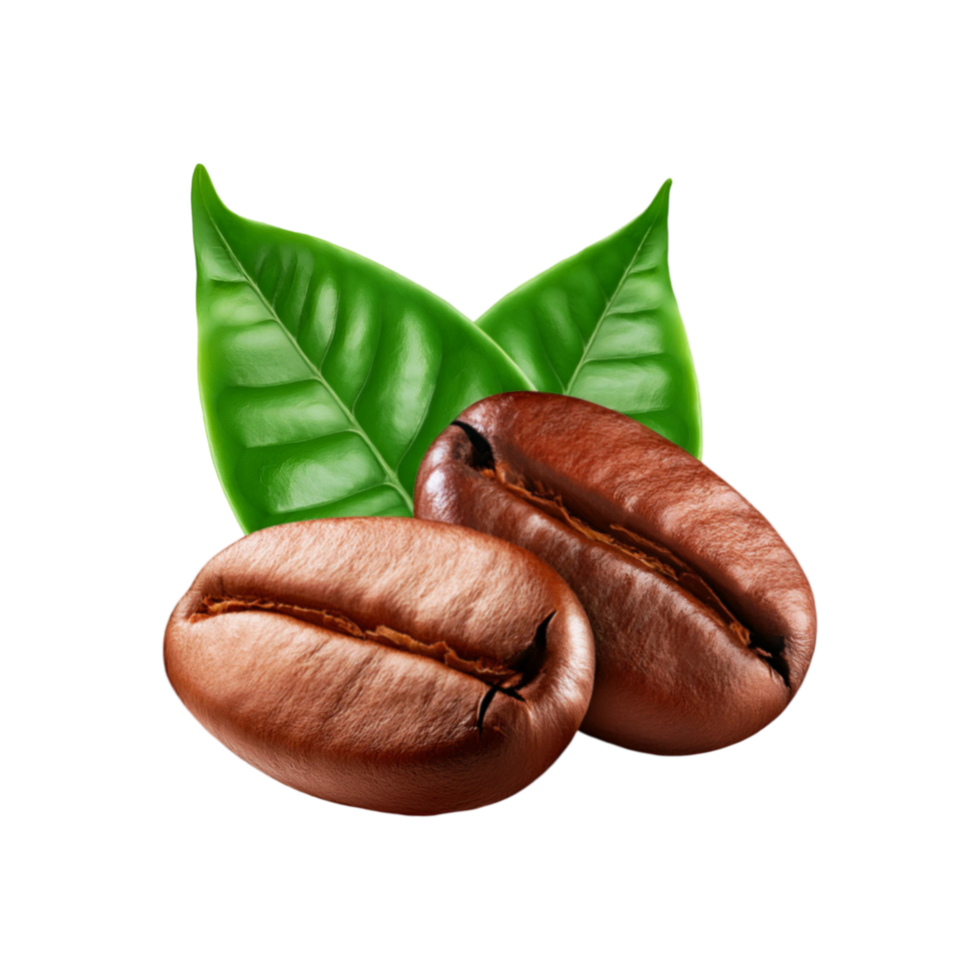 Coffee seeds with leaf on transparent background png