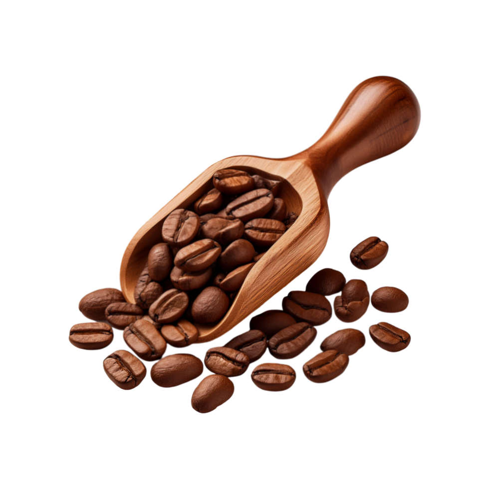 Wooden scoop of coffee seeds on transparent background png