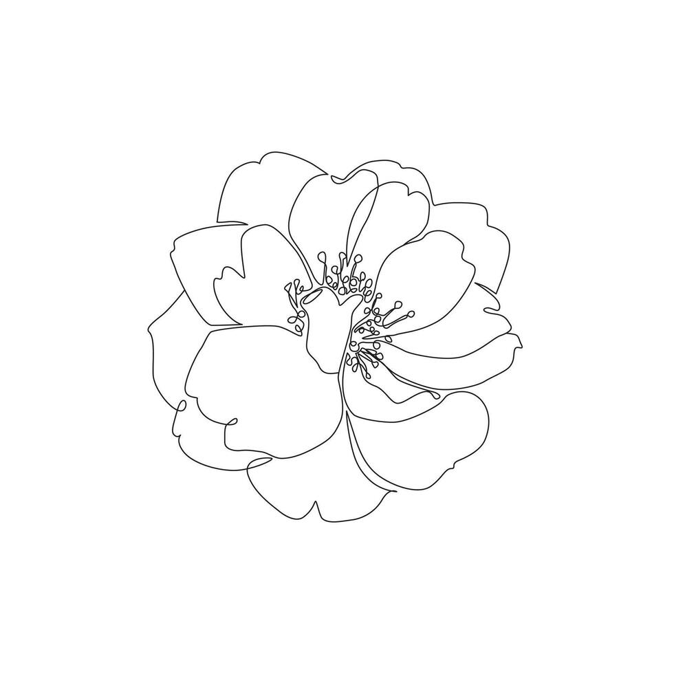 Line art Rose flower illustration. Single continuous line art for floral print or stylish tattoo. Outline botanical poster vector