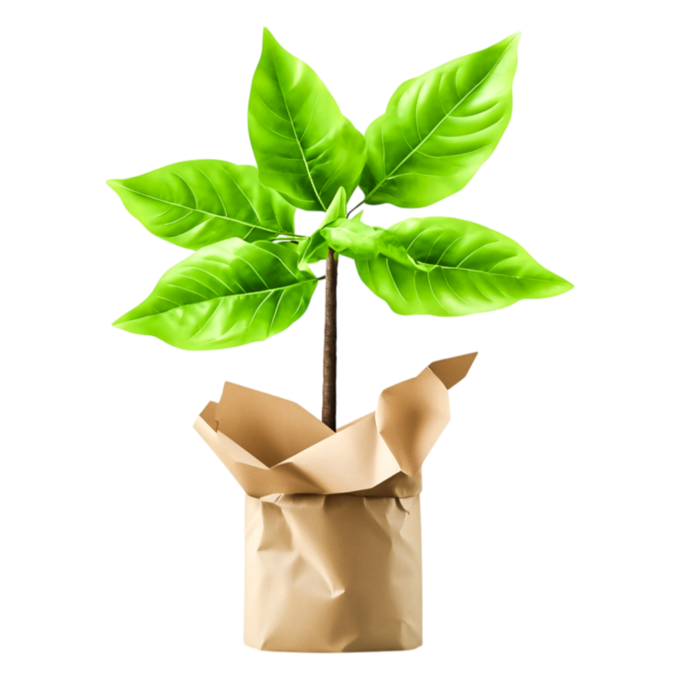 Young Green Plant Growing in Brown Paper Container on png