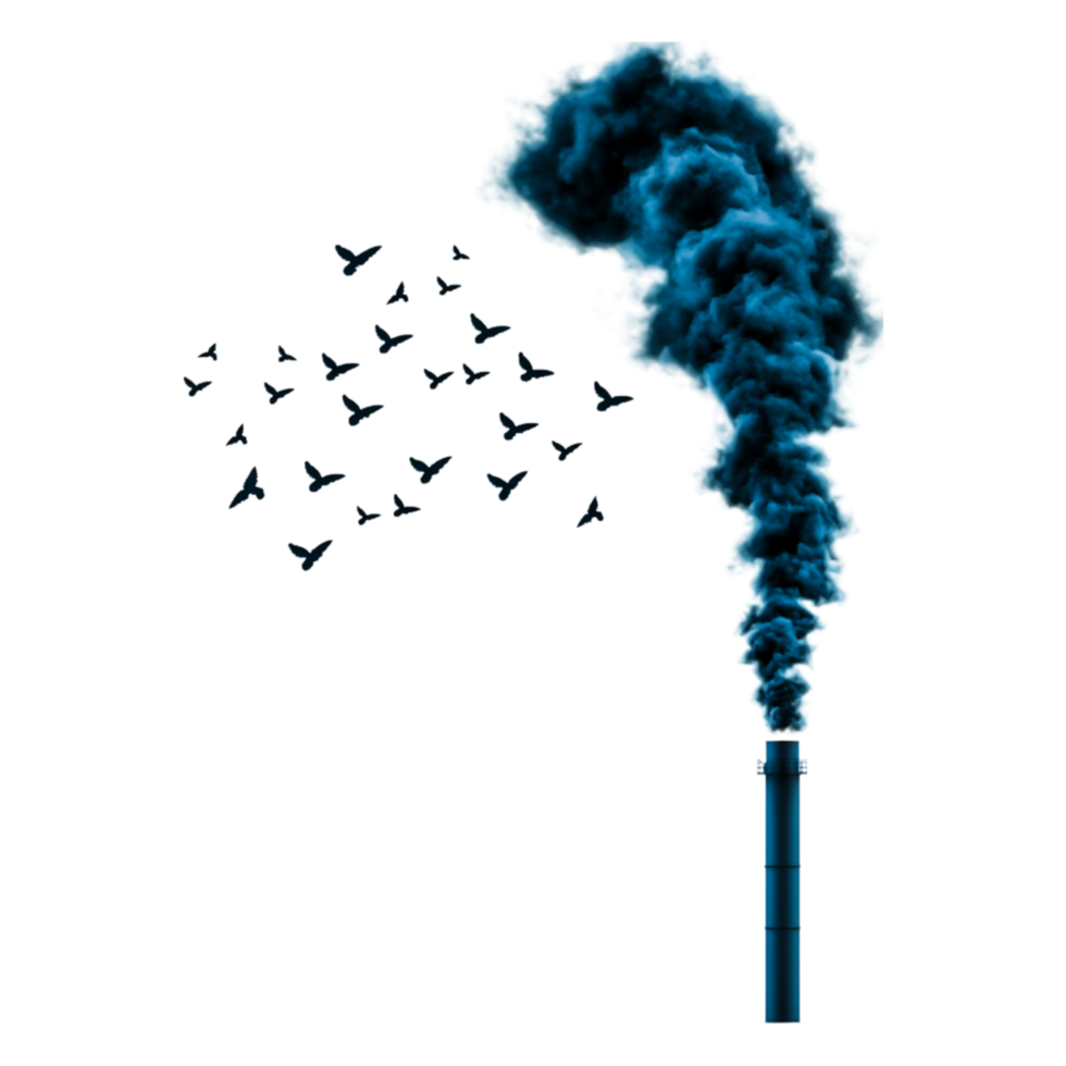 Smoke Emission from Industrial Chimney with Birds in Foreground png