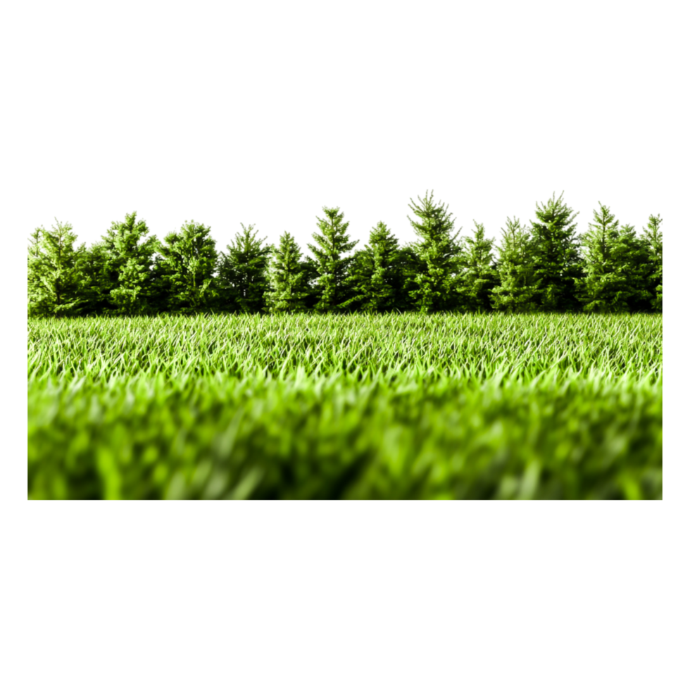 Lush Green Grass Field with Dense Tree Line in Background png