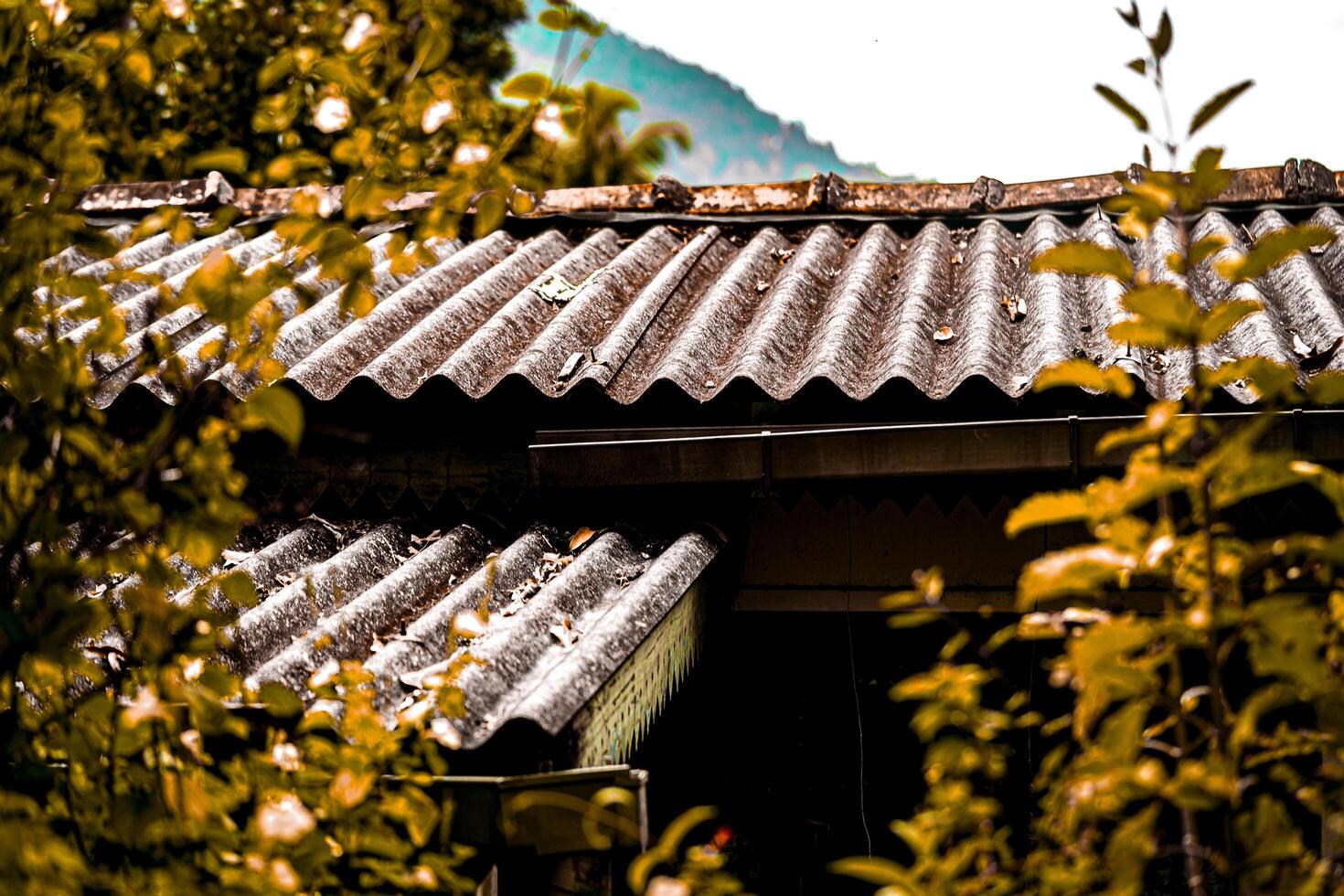 A roof with a clock on it photo