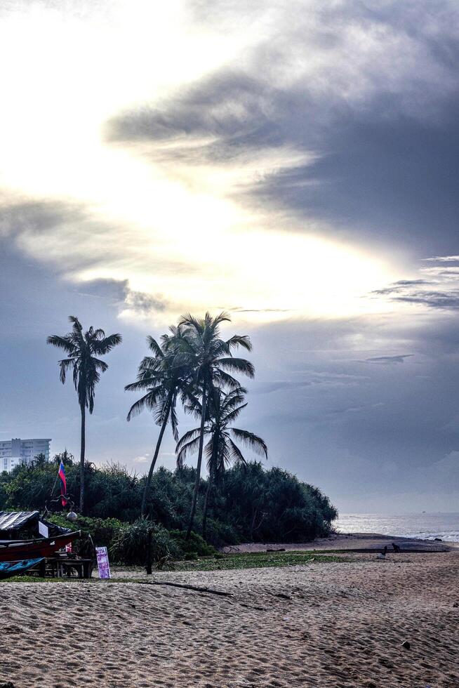 A person flying a kite on a beach photo