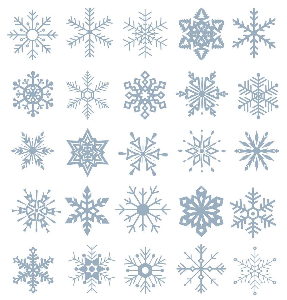 Collection of snowflakes isolated on b background. Nice element for Christmas banners, cards. Set of organic and geometric snowflakes. vector