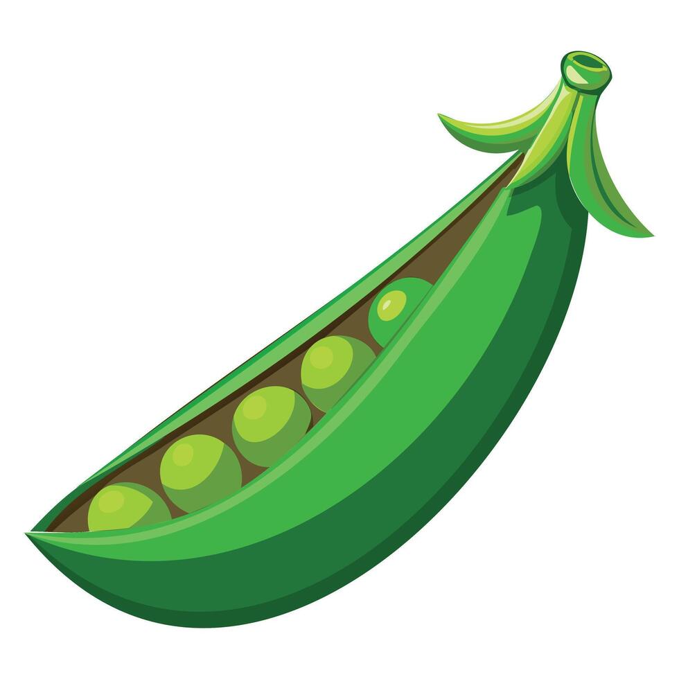 Realistic Green Pea Clipart vector