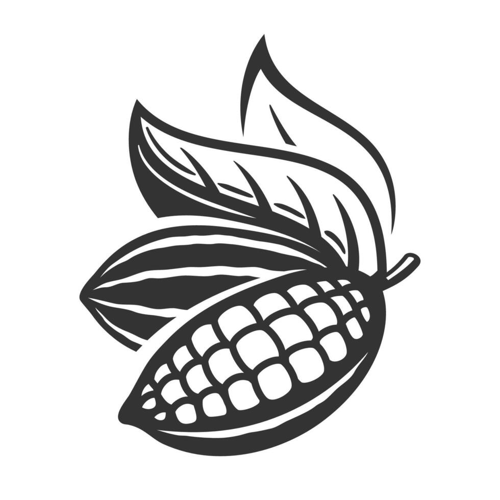 Cocoa pod isolated on white vector