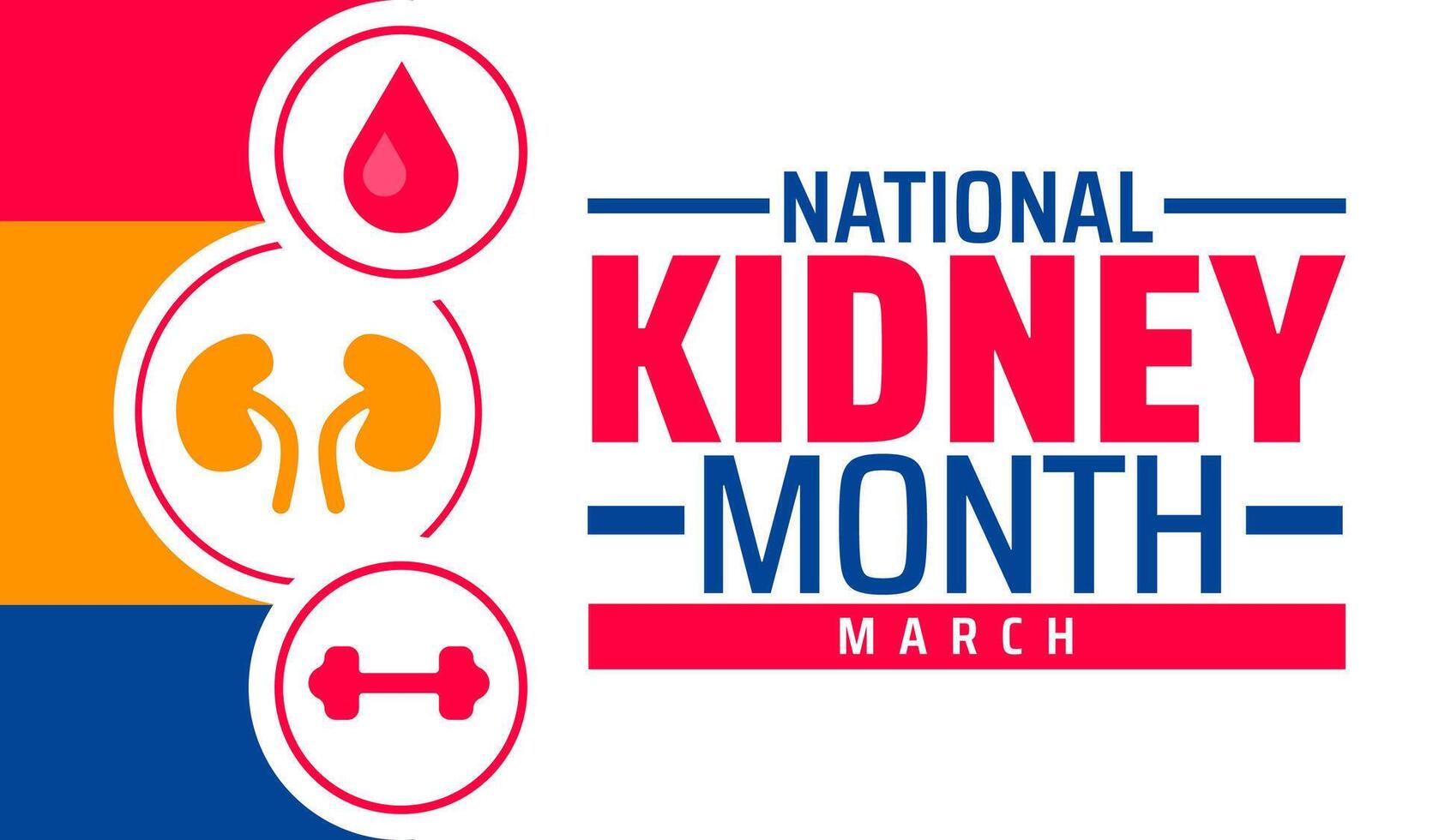 National Kidney Month background banner or poster design template. observed every year in March. Holiday concept. vector