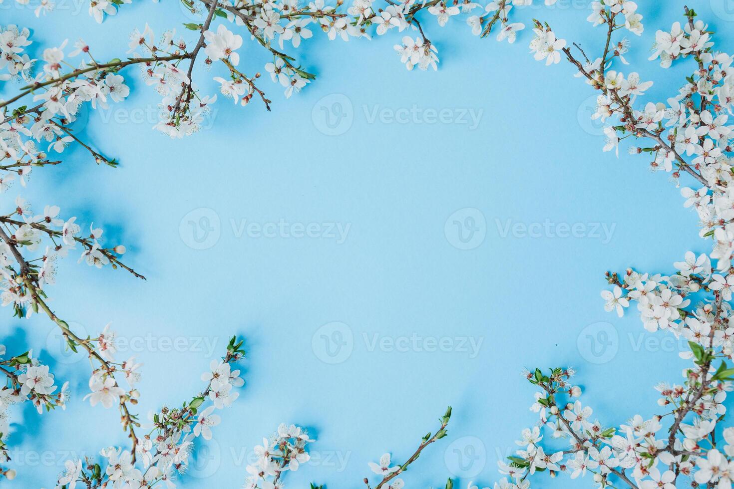 Flowering branches on blue. Flat lay, top view. Spring time with white flowers. photo