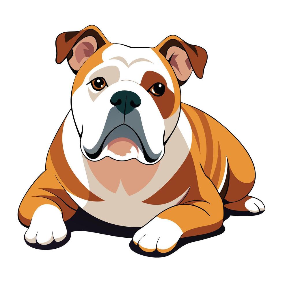 bulldog dog color illustration,graphic style.Perfect for pet lovers. vector