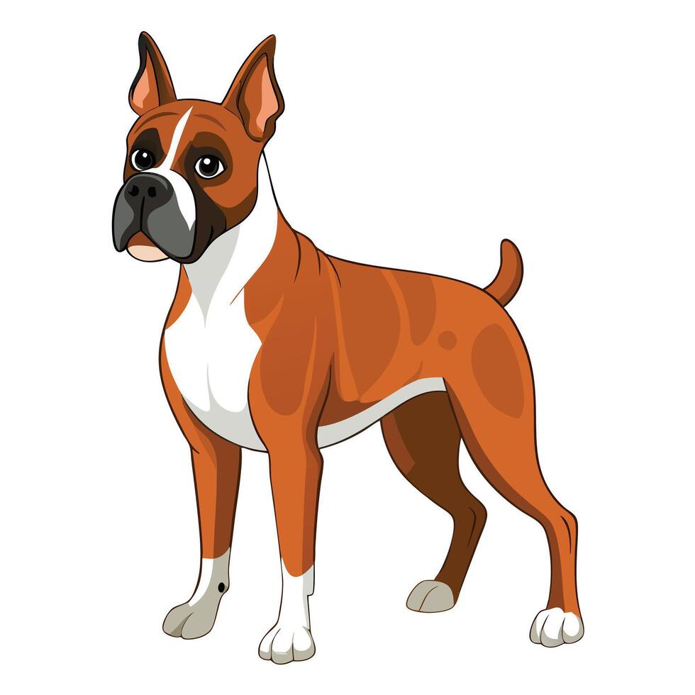 boxer dog color illustration,graphic style.Perfect for pet lovers. vector
