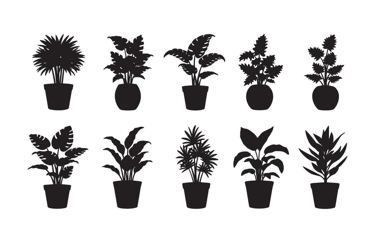 Aesthetic floral display in stylish vases vector