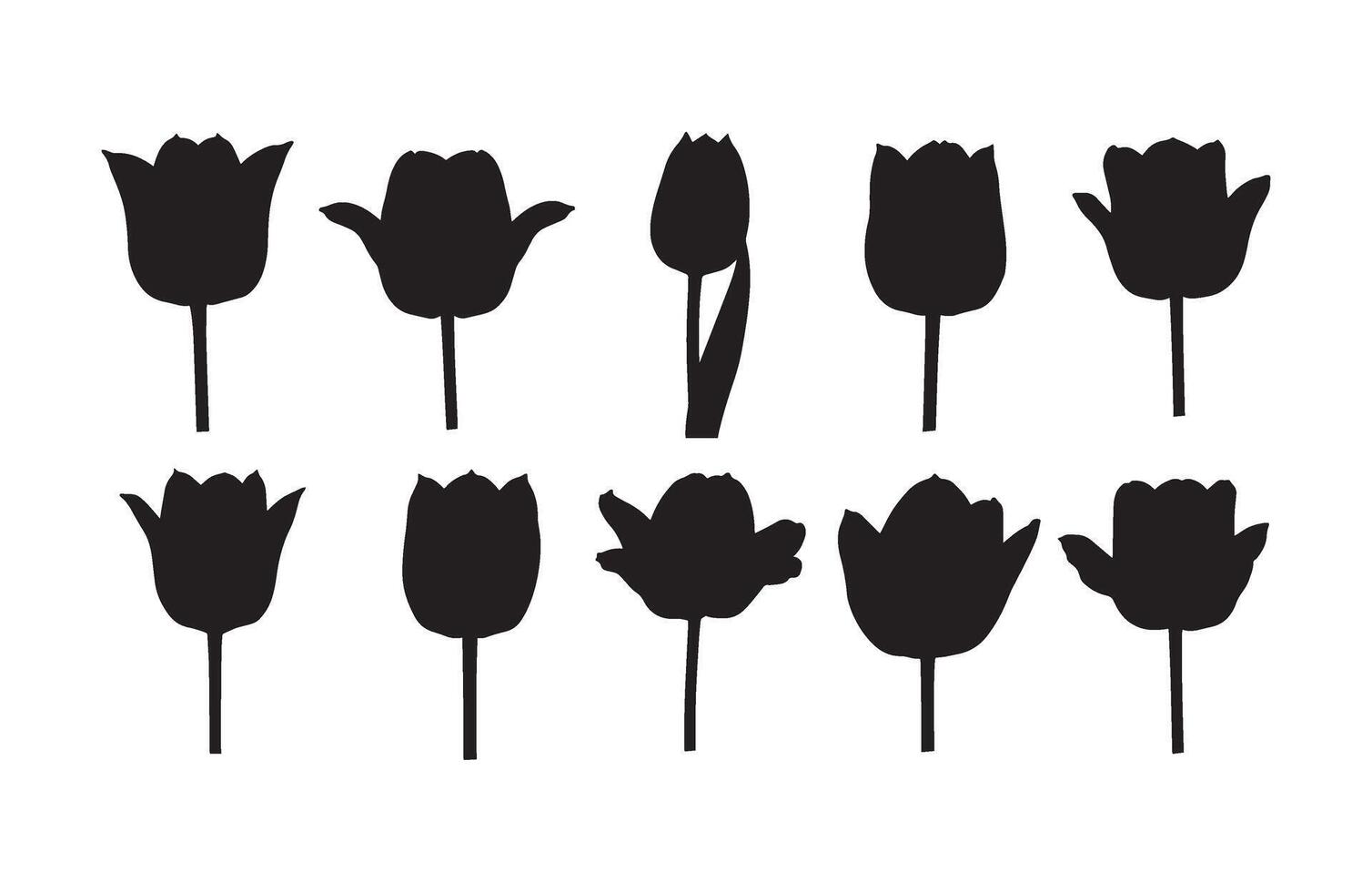 Wildflower Nature Shapes Elegant Graphics vector