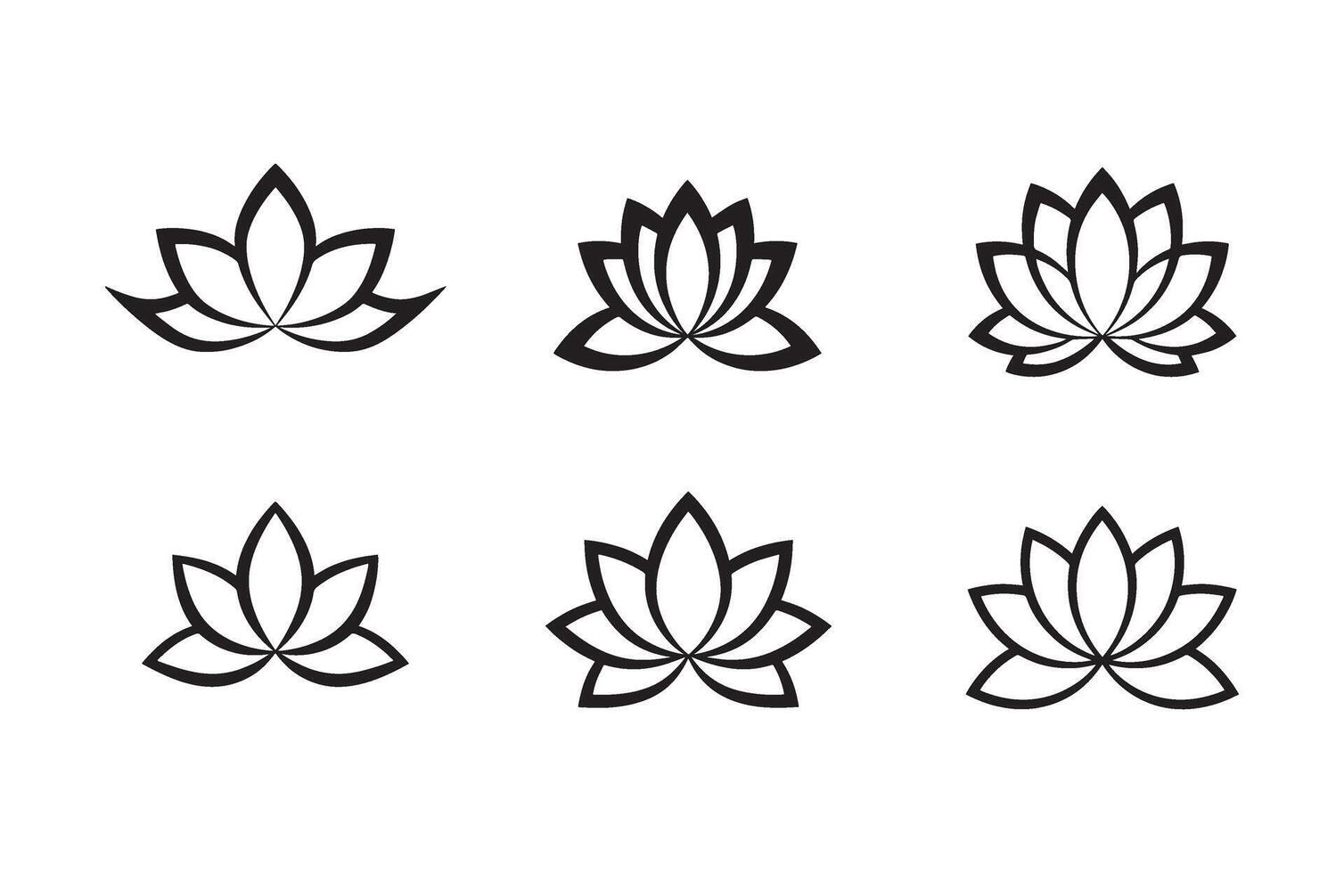 Floral Shapes Elegant Nature Decorative Art vector