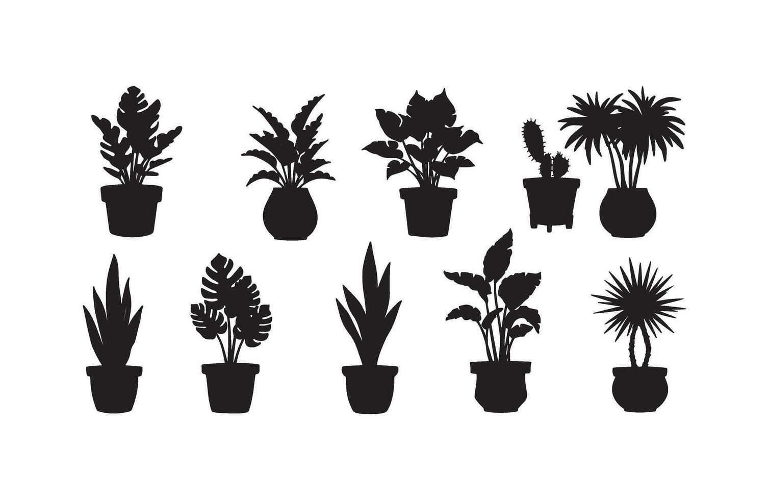 Stunning floral arrangements for home styling vector