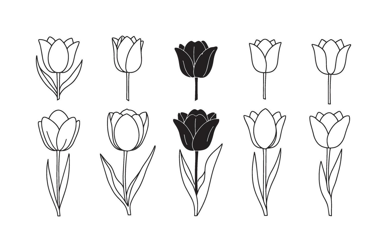 Floral Nature Flower Shapes Wildflower Set vector